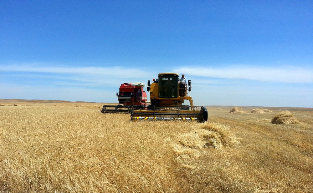 Kirkuk expands wheat storage ahead of harvest